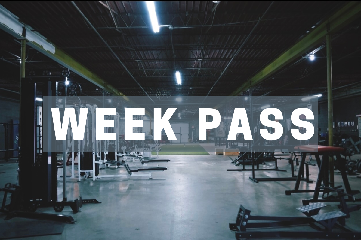 Gym Week Pass Depth Before Dishonor Squat Company