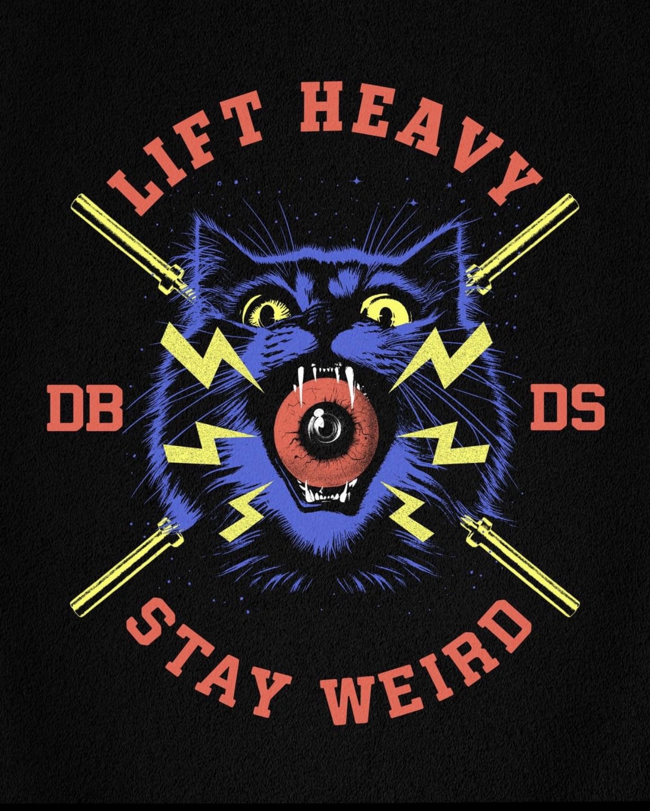 (                                                                                                                                                                                                                            DBDS Lift Heavy Stay Weird 4.0 Tee